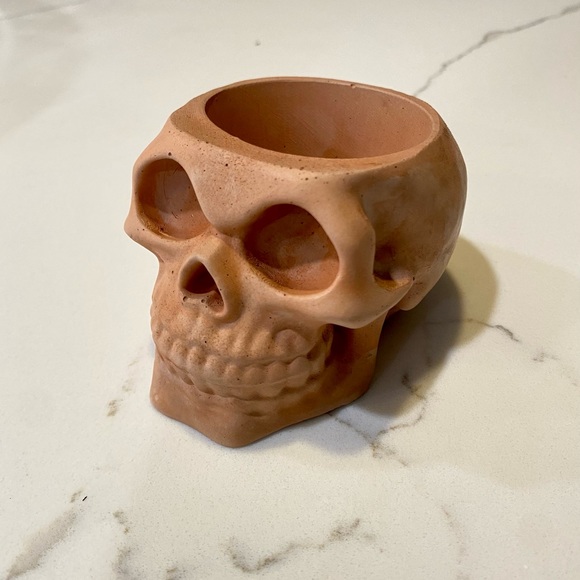 Skull Planter/Organizer - Picture 4 of 7